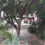 Casa Térrea à venda com 6 quartos, sendo 1 suíte, em Pirituba, São Paulo, SP