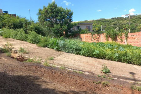 Terreno com 305,82 m² .