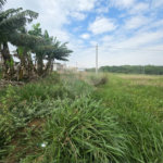Terreno no Arcoville 260m² de esquina