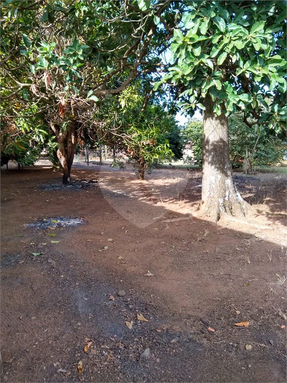 Chácara em água vermelha, localizada em ponto comercial.