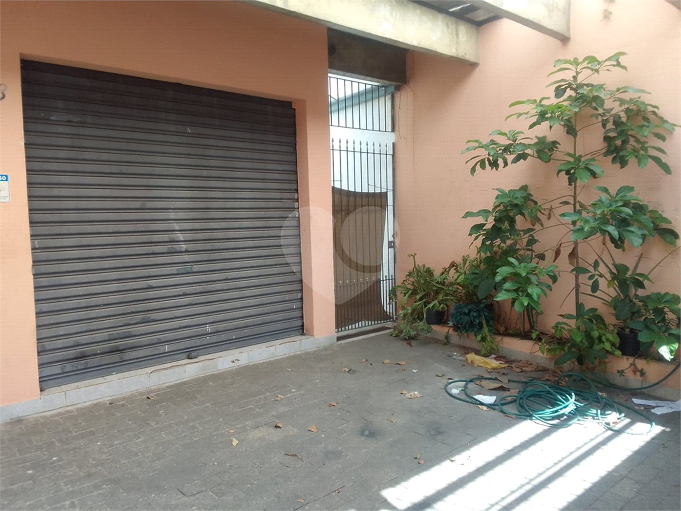 Galpão - Vila Santa Catarina