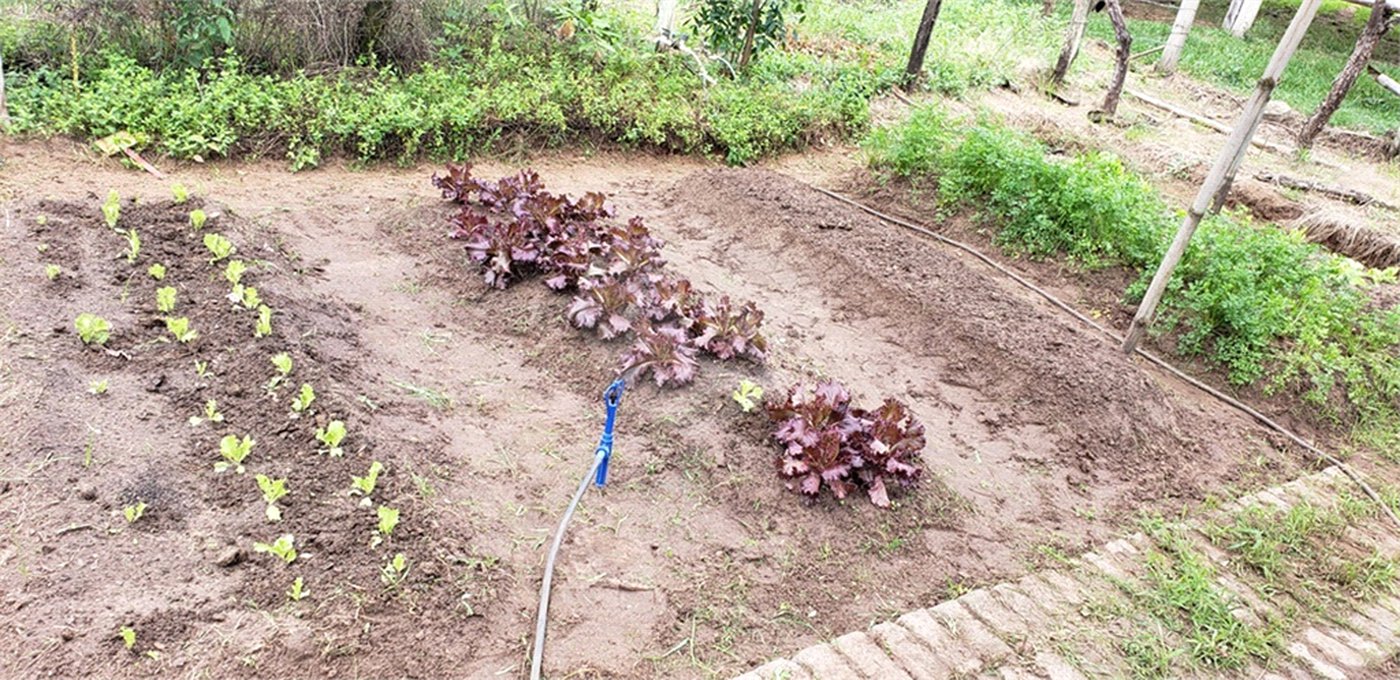 Sitio para venda.