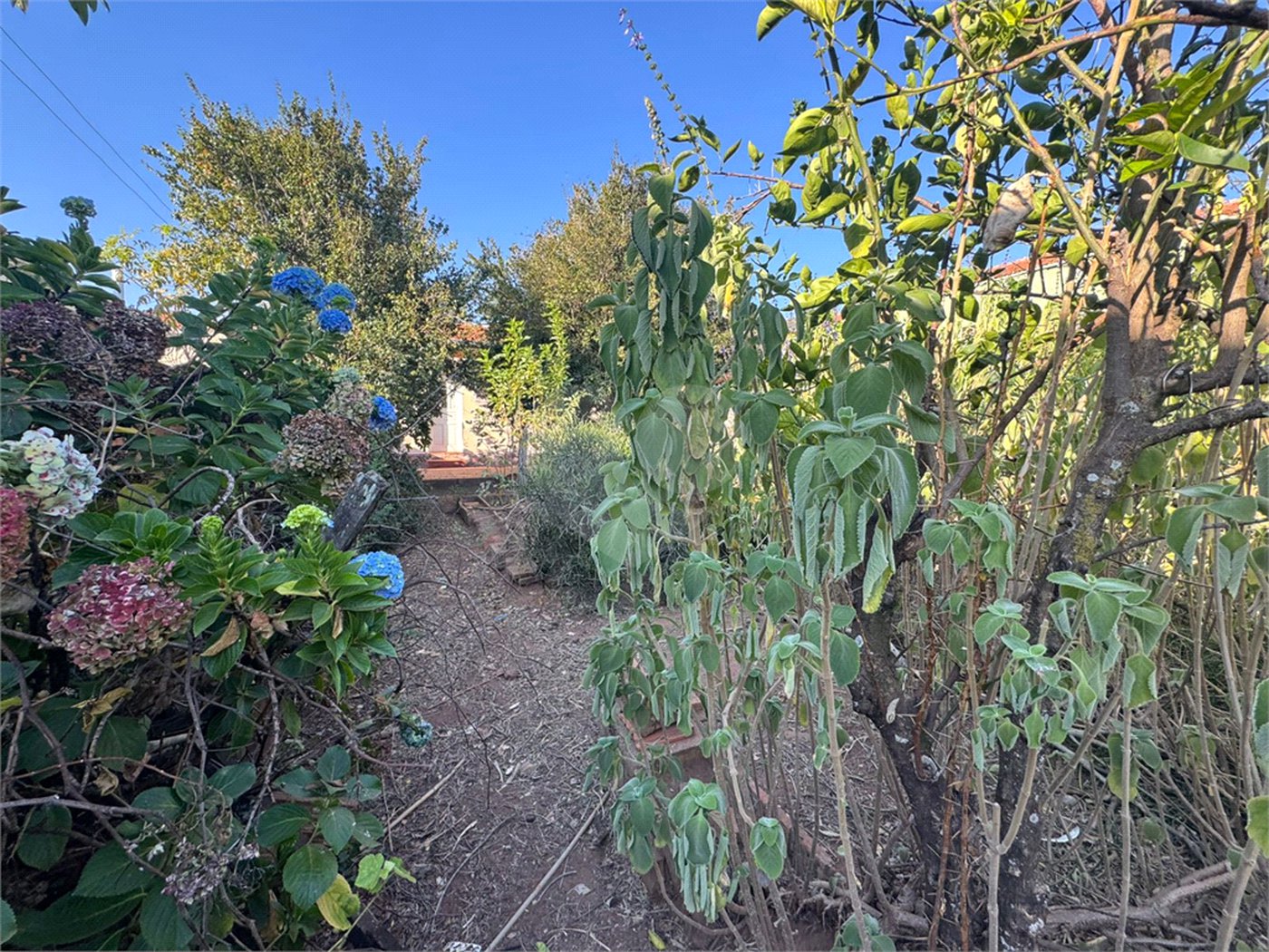 Terreno á venda na Vila Prado com 250m2, em São Carlos.