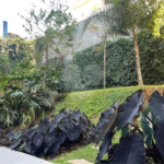 Apartamento para alugar com 1 suíte em Vila Pompéia, São Paulo, SP