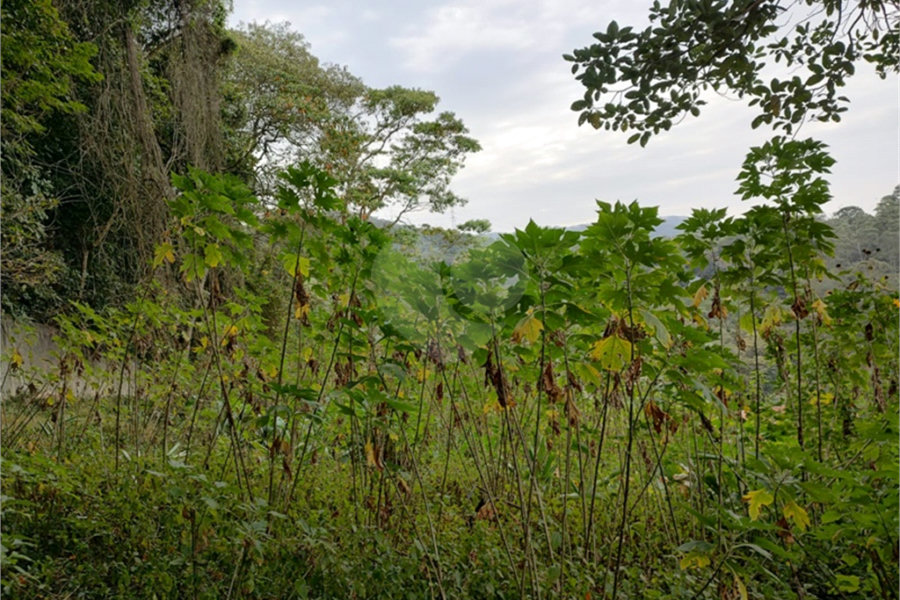 Terreno à venda em Barro Branco (zona Norte), São Paulo, SP
