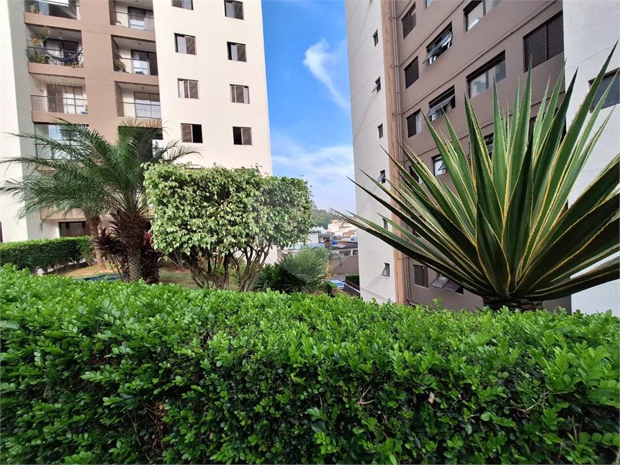 Apartamento à venda com 3 quartos em Horto, São Paulo, SP