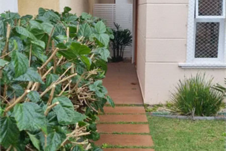 Casa à venda com 4 quartos, sendo 2 suítes,  no condomínio Casas de Windsor, São Paulo - SP