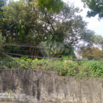 Terreno à venda com 3 quartos, sendo 1 suíte, em Tremembé, São Paulo, SP