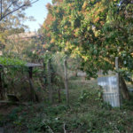 Terreno à venda em Tremembé, São Paulo, SP