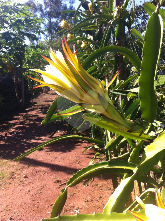 Chácara à venda com 5 quartos em Parque Planalto, Araraquara, SP