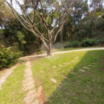 Chácara à venda ou para alugar com 3 quartos, sendo 1 suíte, em Chácaras Polozzi, Louveira, SP