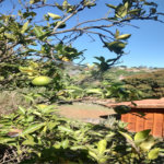Chácara à venda com 4 quartos, sendo 1 suíte, em Chácaras Fernão Dias, Atibaia, SP