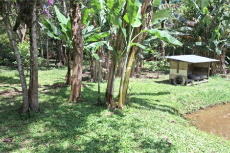 Chácara à venda com 4 quartos, sendo 1 suíte, em Taiaçupeba, Mogi das Cruzes, SP