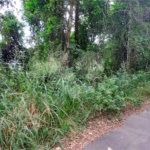 Terreno à venda no condomínio Sausalito, Mairiporã - SP