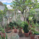 Sobrado à venda com 3 quartos, sendo 1 suíte, em Vila Irmãos Arnoni, São Paulo, SP