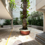 Apartamento à venda com 3 quartos, sendo 2 suítes, em Tijuca, Rio de Janeiro, RJ