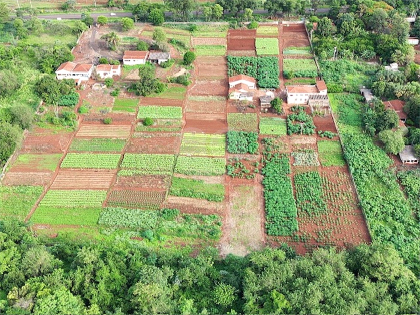 Terreno à venda em Jardim Itaú, Ribeirão Preto, SP