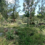 Área de Terra à venda em Monte Alegre, Vinhedo, SP