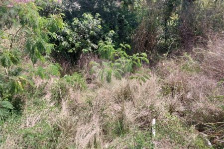 Terreno à venda em Campo Grande, Rio de Janeiro, RJ