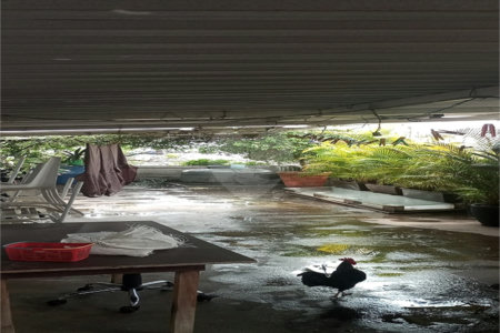 Casa à venda com 3 quartos, sendo 1 suíte,  em Lapa de Baixo, São Paulo, SP