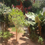 Casa à venda com 3 quartos, sendo 1 suíte, em Pirituba, São Paulo, SP