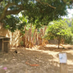 Chácara à venda com 8 quartos, sendo 5 suítes, em Chácara Belvedere, Indaiatuba, SP