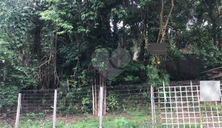 Terreno à venda em Horto Florestal, São Paulo, SP