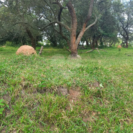 Terreno à venda em Chácaras do Guacuri, Itupeva, SP