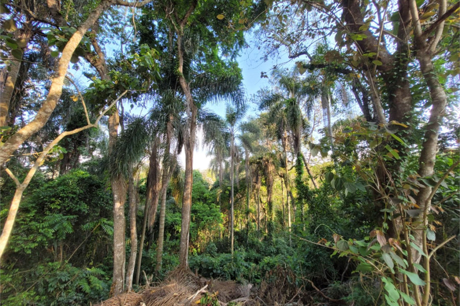 Terreno à venda no condomínio Parque Petrópolis 4 Secção, Mairiporã - SP