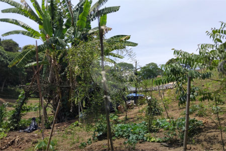 Chácara à venda com 2 quartos em Vila Caputera, Mogi das Cruzes, SP