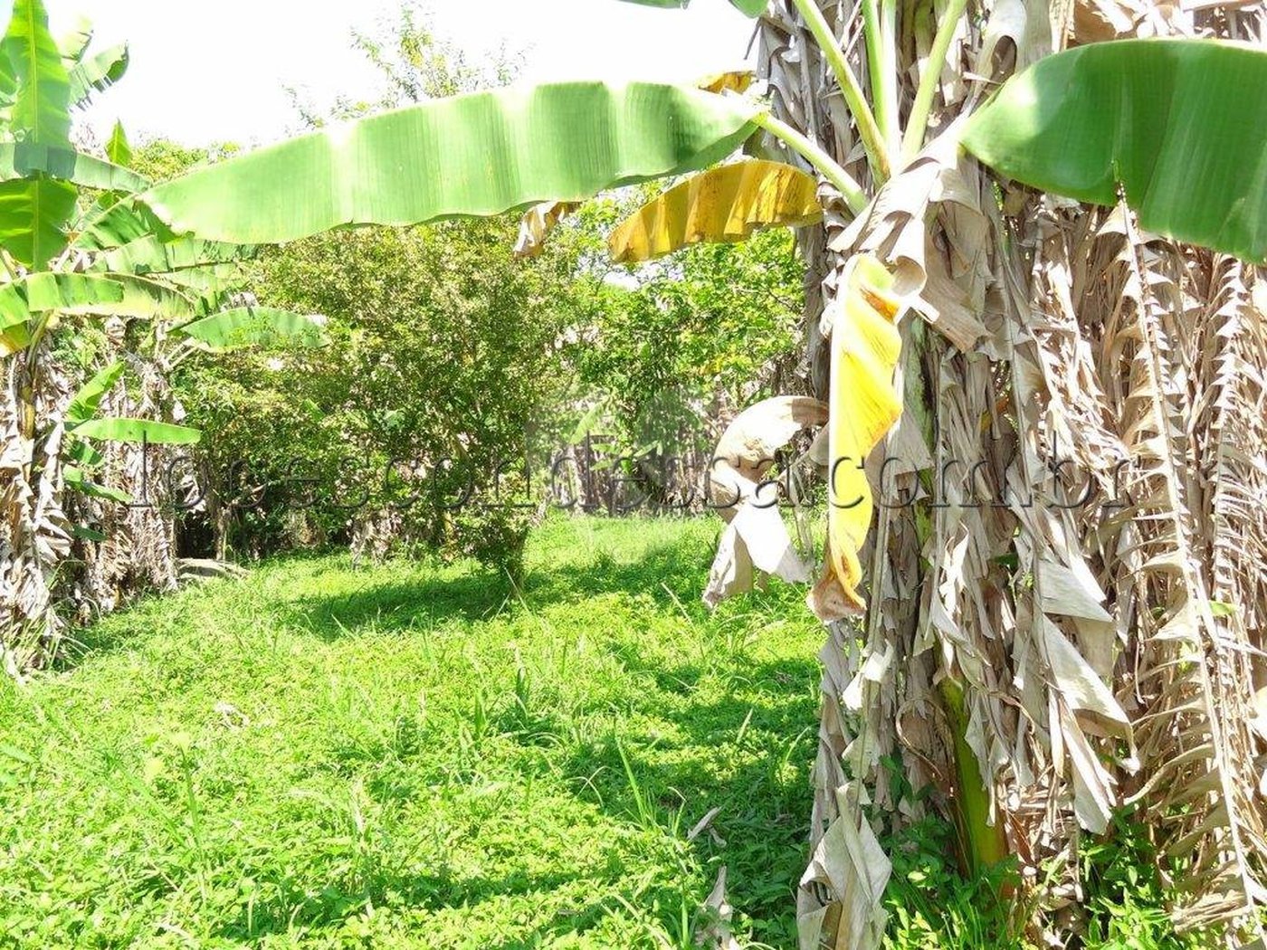 Terreno à venda em Horto Florestal, São Paulo, SP