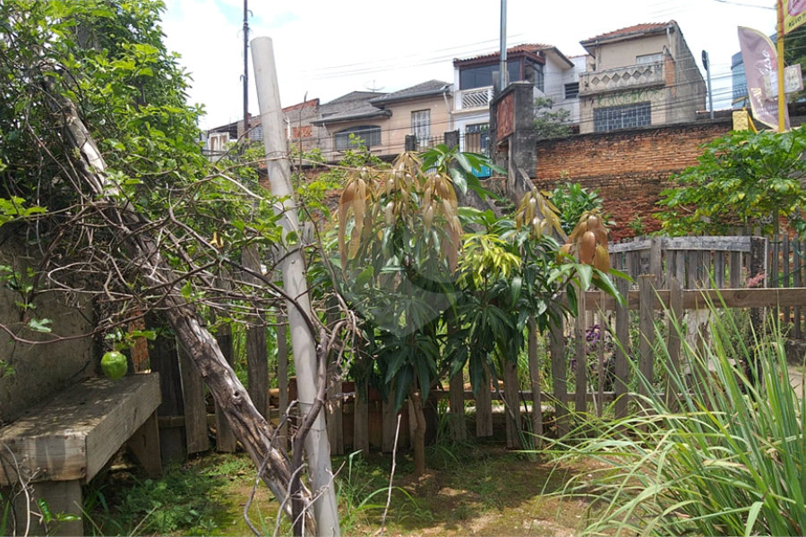 Casa Térrea à venda com 3 quartos em Casa Verde, São Paulo, SP