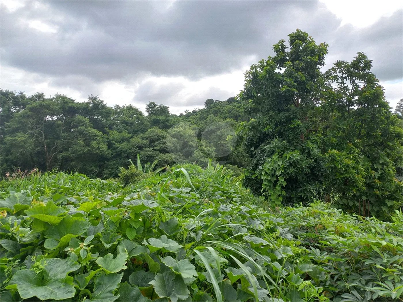 Terreno à venda em Parque dos Cafezais III, Itupeva, SP