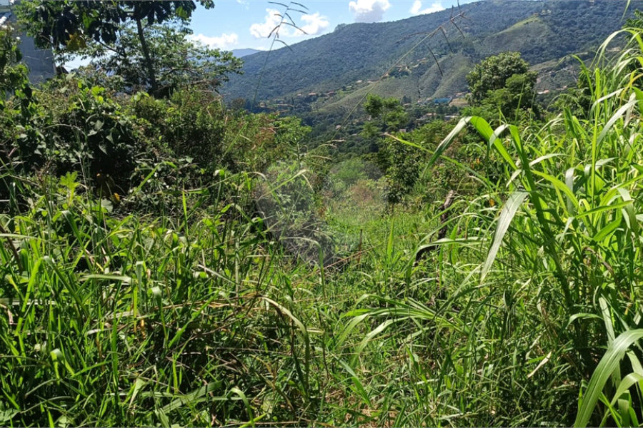Terreno à venda em Luiz Fagundes, Mairiporã, SP