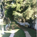 Sítio à venda com 4 quartos, sendo 2 suítes, em Biritiba Ussu, Mogi das Cruzes, SP