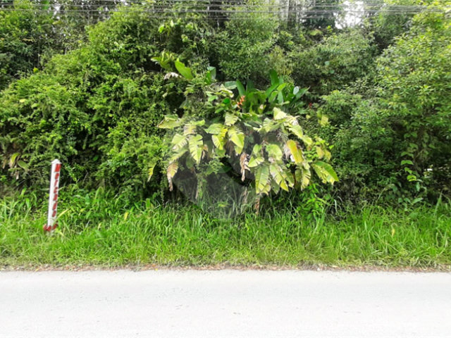 Chácara à venda em Serra da Cantareira, Mairiporã, SP