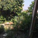 Terreno à venda com 3 quartos em Vila Maria, São Paulo, SP
