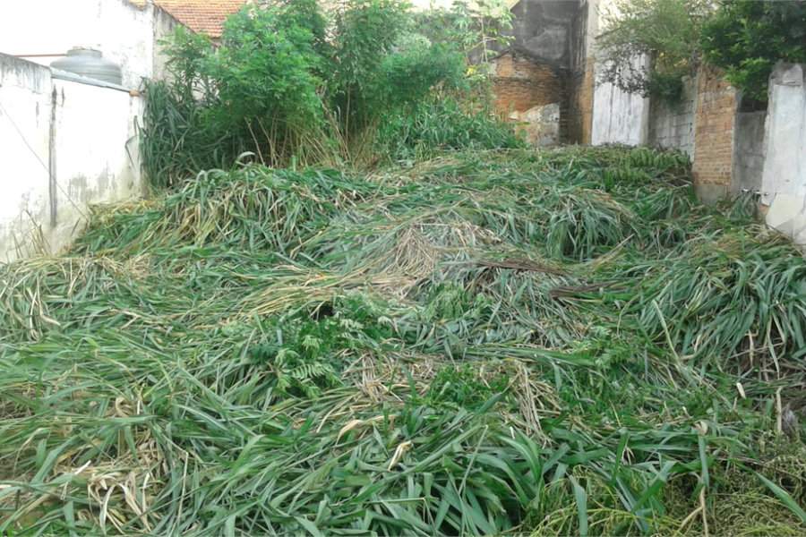 Terreno à venda em Imirim, São Paulo, SP