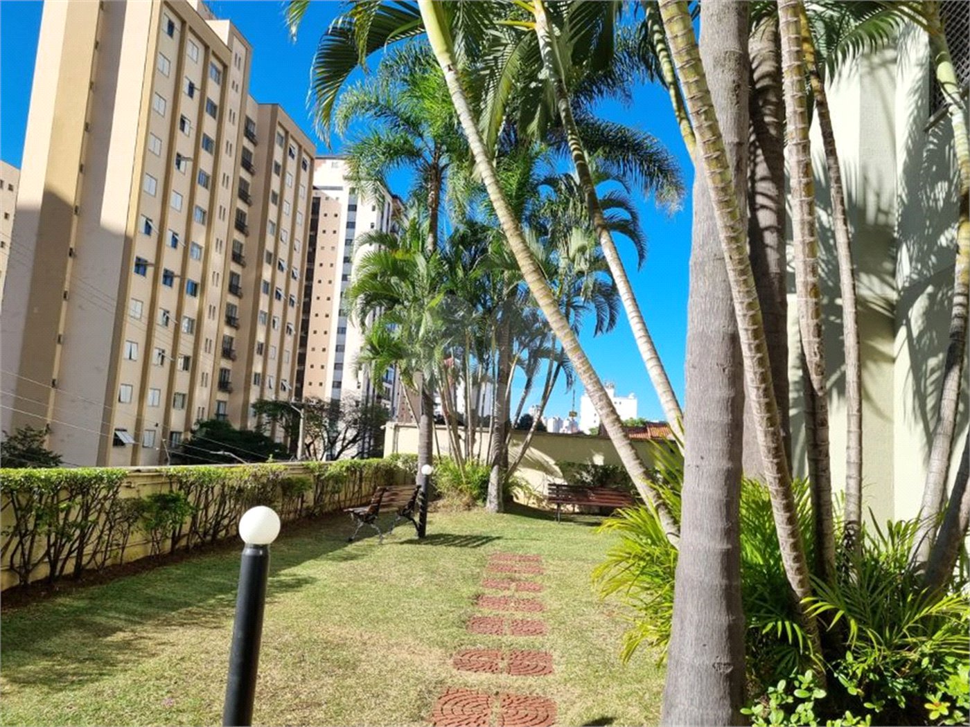 Apartamento à venda com 3 quartos, sendo 1 suíte, em Vila da Saúde, São Paulo, SP