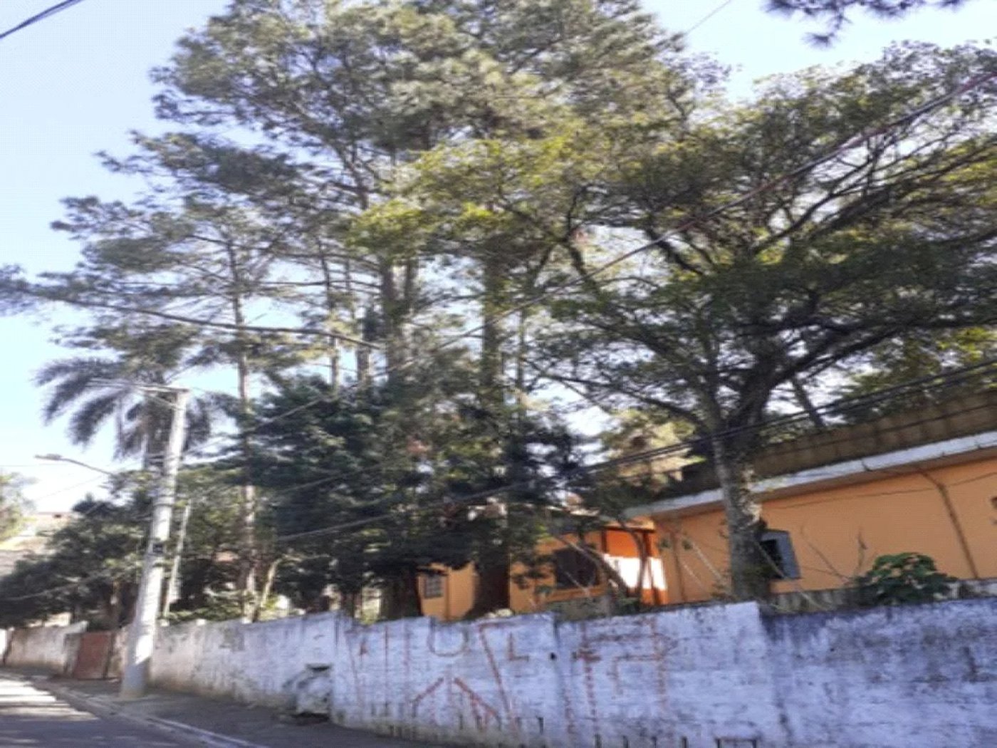 Terreno à venda em Jardim Dom José, São Paulo, SP