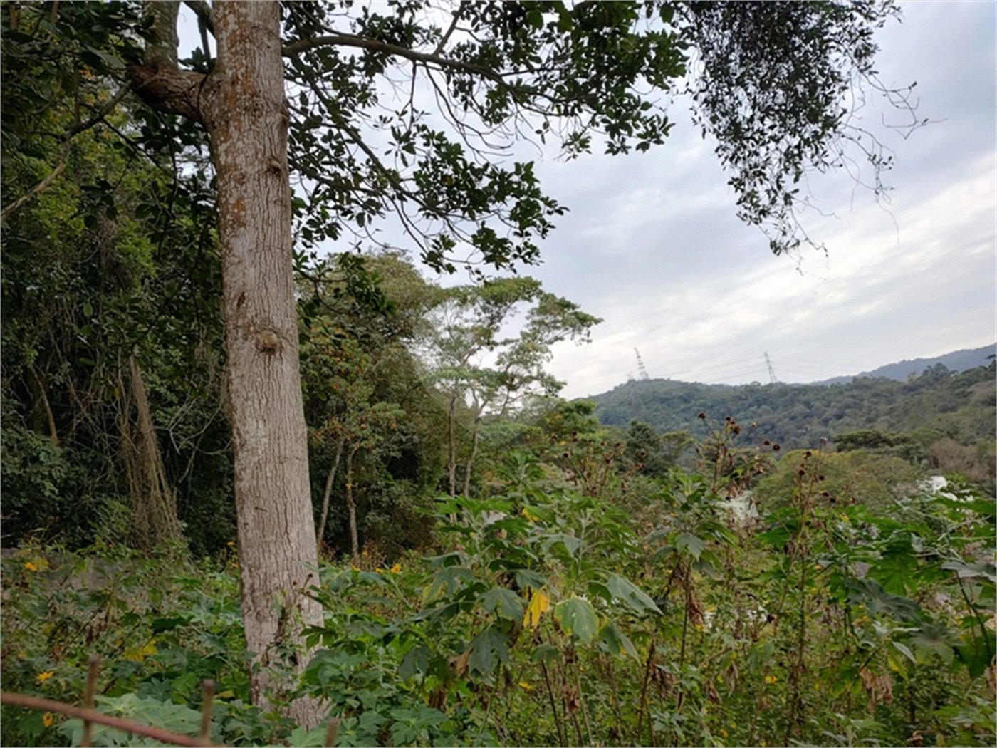 Terreno à venda em Barro Branco (zona Norte), São Paulo, SP
