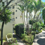 Apartamento à venda com 2 quartos em Parque Maria Domitila, São Paulo, SP