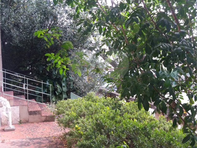 Terreno à venda com 3 quartos em Vila Guilherme, São Paulo, SP