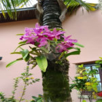 Chácara à venda com 4 suítes em Vale das Laranjeiras, Indaiatuba, SP