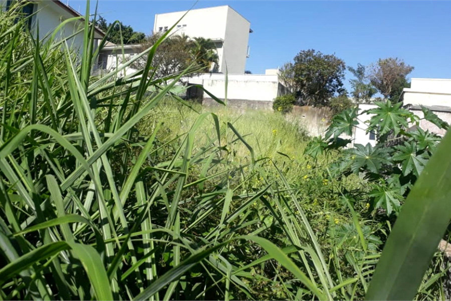 Terreno à venda em Santana, São Paulo, SP