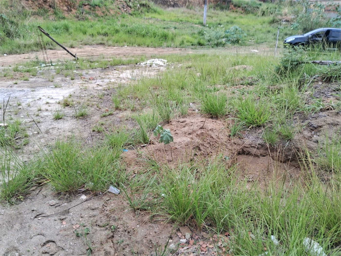 Terreno à venda em Santíssimo, Rio de Janeiro, RJ