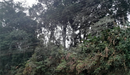 Terreno à venda em Serra da Cantareira, Mairiporã, SP