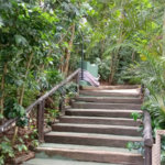 Apartamento à venda com 2 suítes em Parque do Morumbi, São Paulo, SP