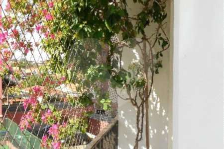 Apartamento para alugar com 4 quartos em Jardim Colombo, São Paulo, SP