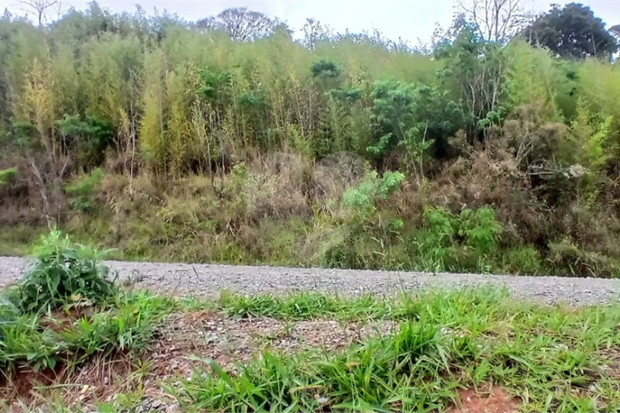 Terreno à venda em Luiz Fagundes, Mairiporã, SP